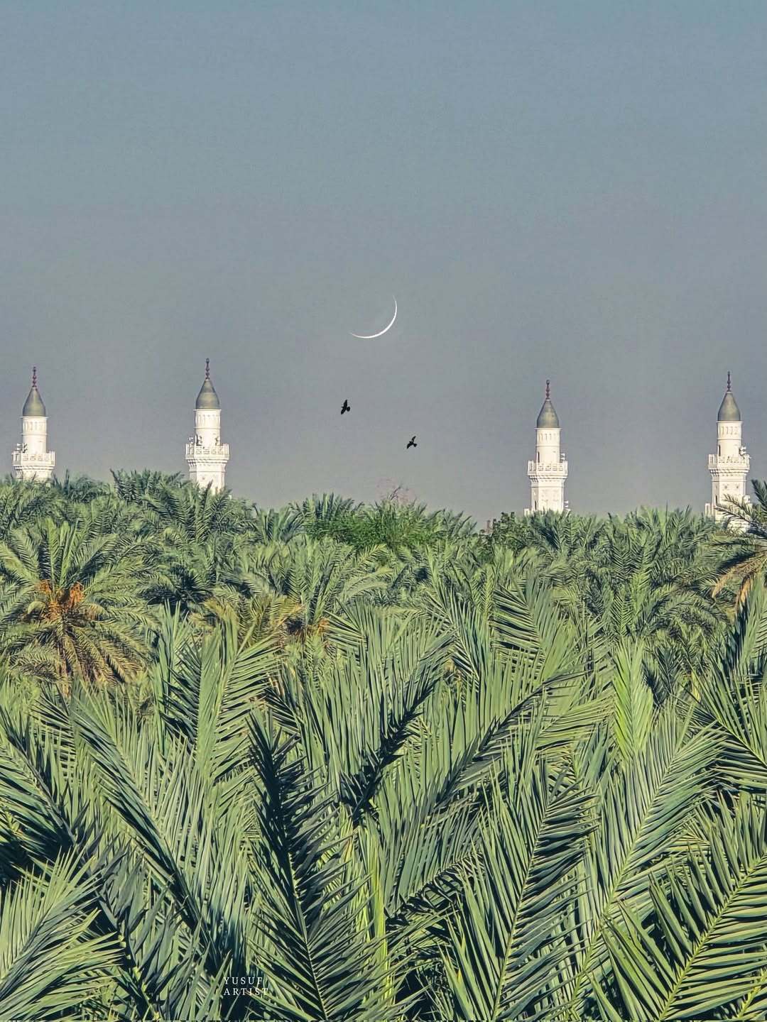 Wajah Baru Masjid Nabawi 2026: Makin Teduh dan Asri dengan 6.000 Pohon Baru! 