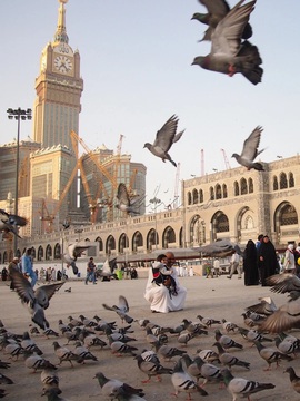 Mengapa Burung Hampir Tak Pernah Terlihat Melintas di Atas Ka'bah? Ini Penjelasannya 