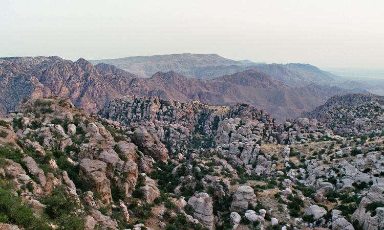 Dana Nature Reserve, Sumber: wikipedia.com