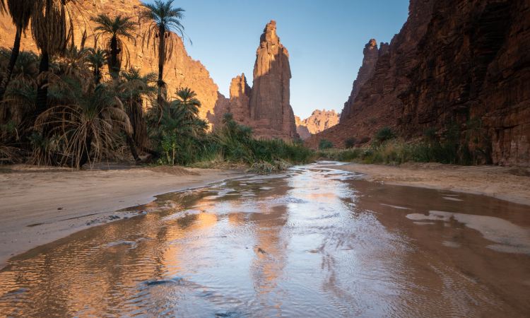 Wilayah Tabuk, Sumber: expedia.com