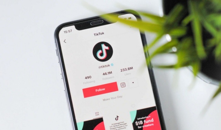 Memanfaatkan TikTok untuk menjangkau calon jamaah umroh, Sumber: tubefilter.com