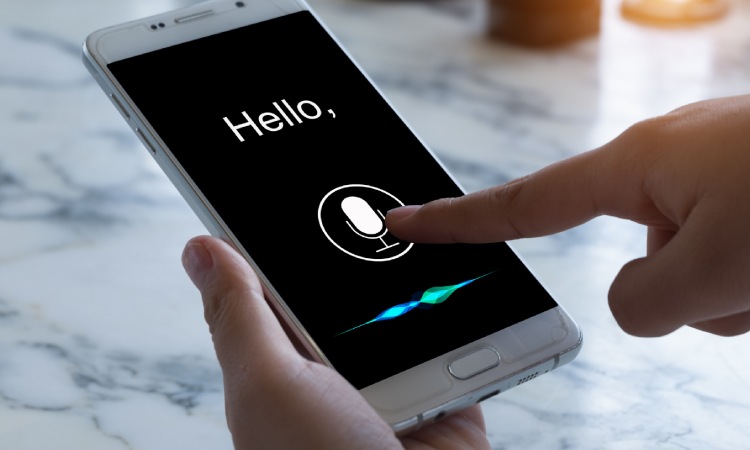 Voice search, Sumber: searchenginejournal.com