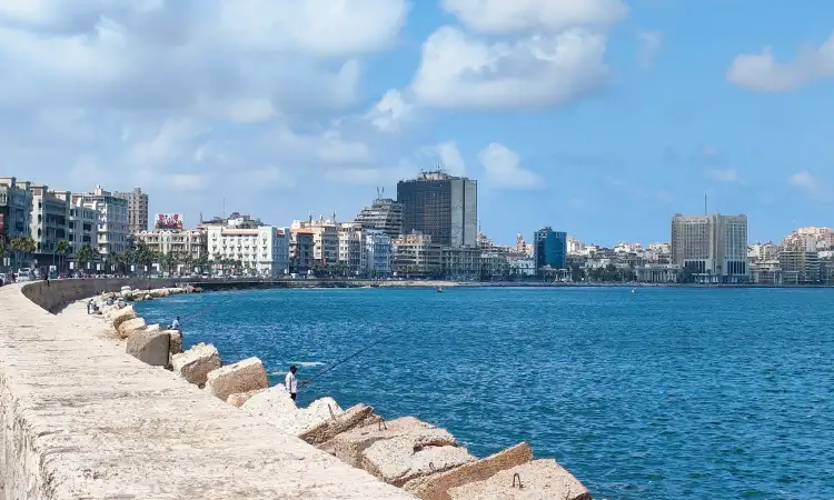 Kota Alexandria, Sumber: wikipedia.com