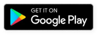 icon playstore