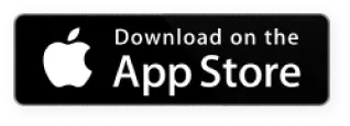icon app store